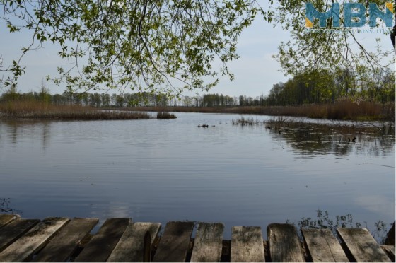 jezioro dziewiszewo-2