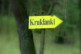 Kruklanki