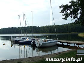 Wilkasy
                            Zalesie - plaa